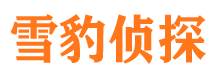 陇南侦探公司